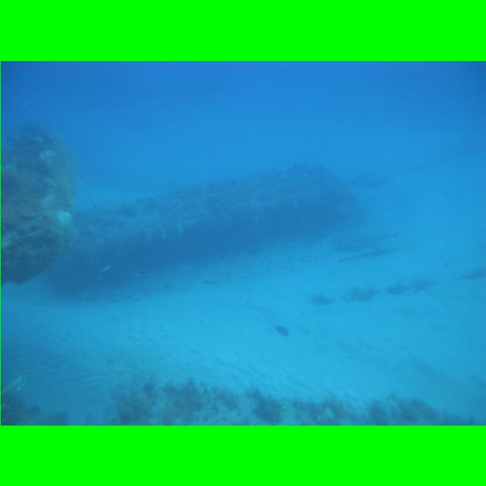 Dive WP Wrecks 25-Oct-09_428.JPG